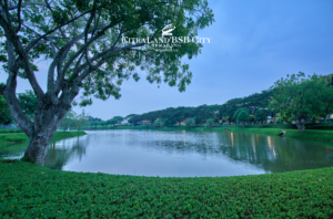 Keindahan danau di CitraLand BSB City, tempat ideal untuk bersantai dan menikmati alam di Semarang.